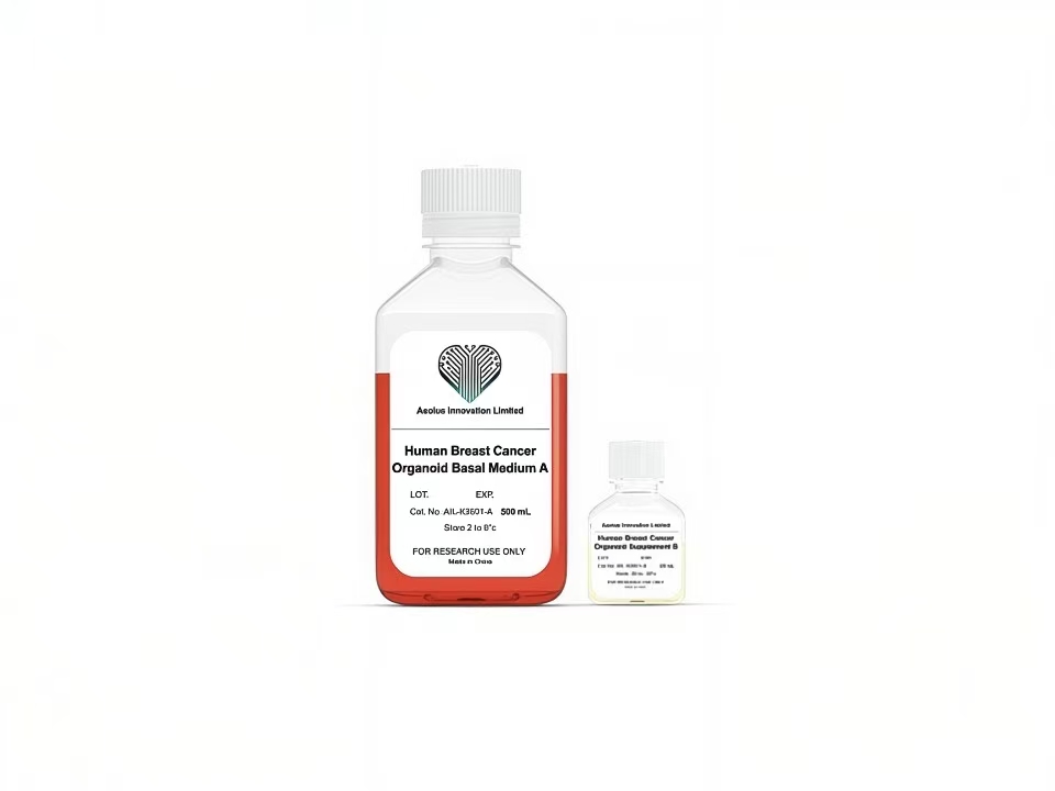 Human Breast Cancer Organoid Complete Medium - Basal Medium