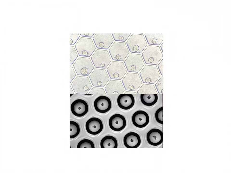 GB Microarray Chip - Product Image